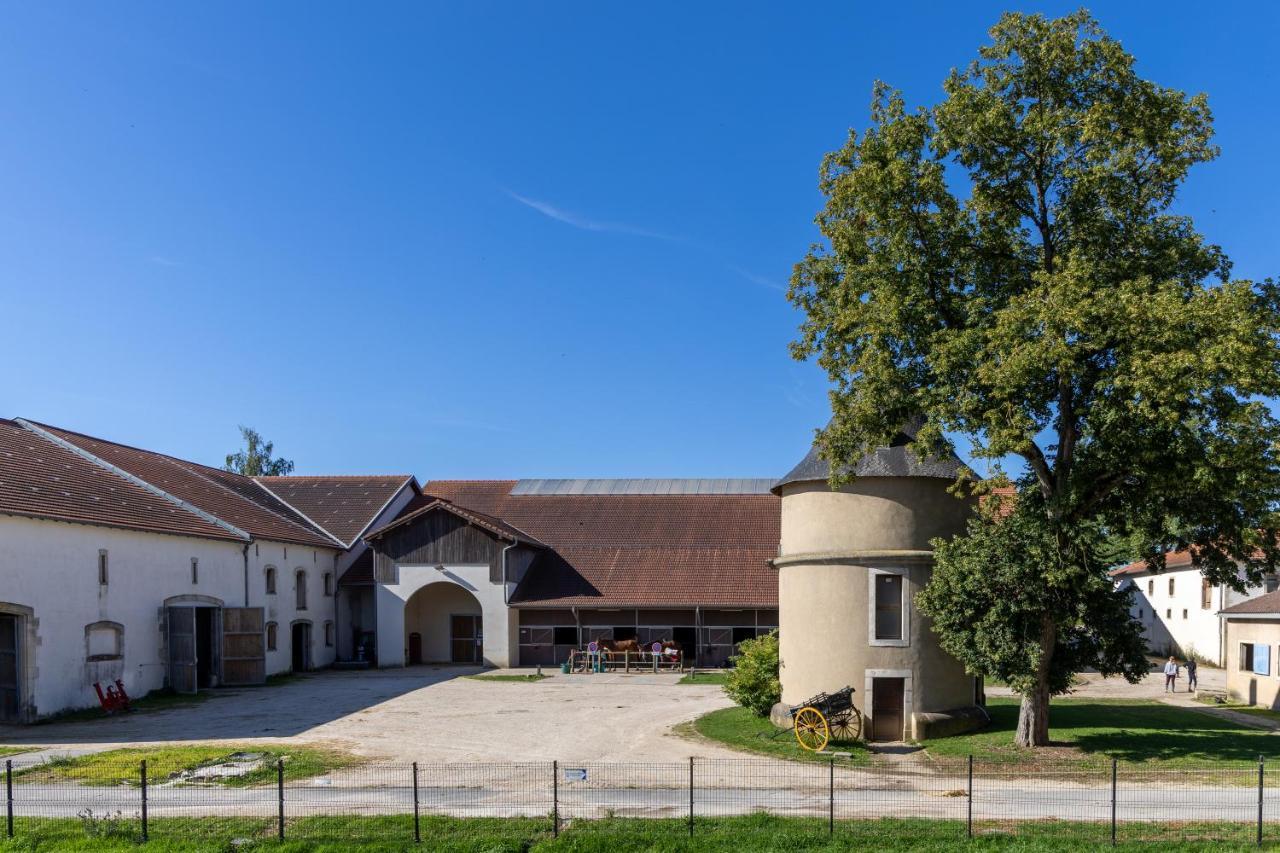 Hotel Du Chateau Villers-lès-Nancy Extérieur photo